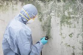 Best Air Quality Testing for Mold Spores in Payson, UT